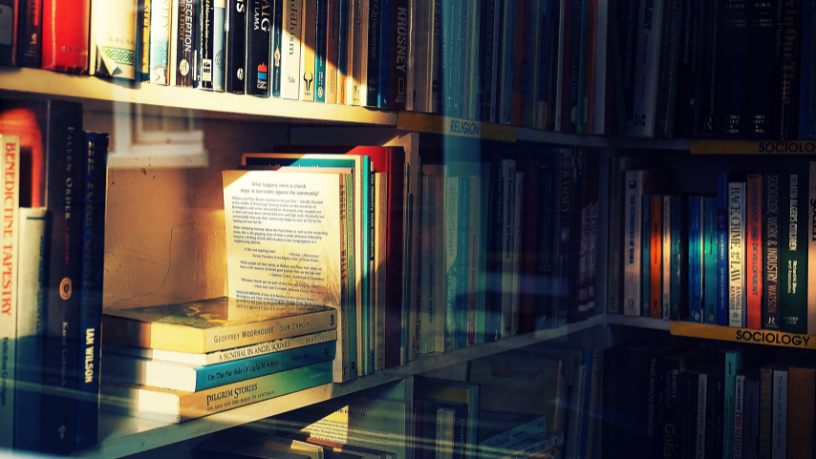 Eficiência e sustentabilidade hídrica aplicadas à agropecuária por Hebron Costa Cruz De Oliveira.