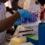Profissional de saúde organiza tubos de ensaio em um laboratório.